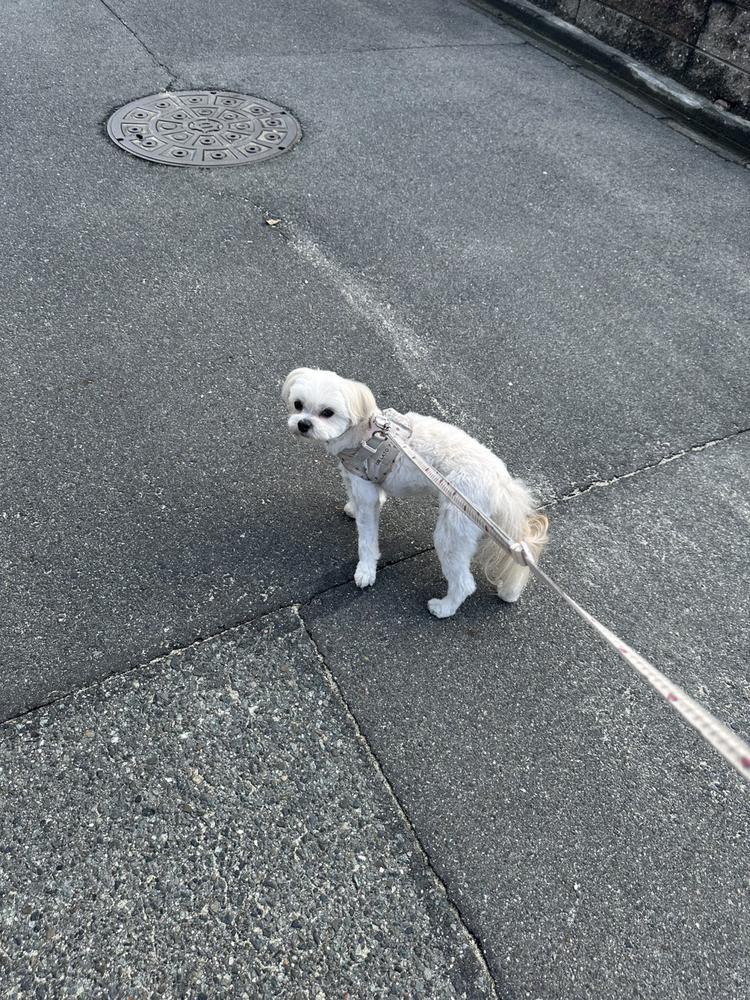 いっぱいかまってあげたい😭💧