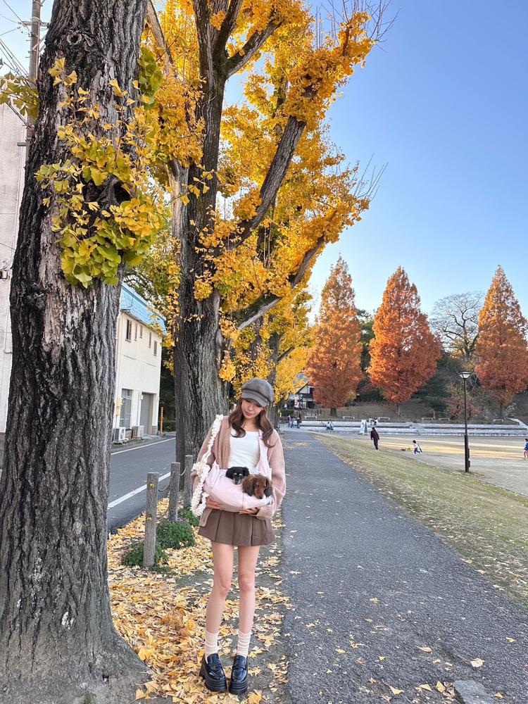 12月もよろぴく