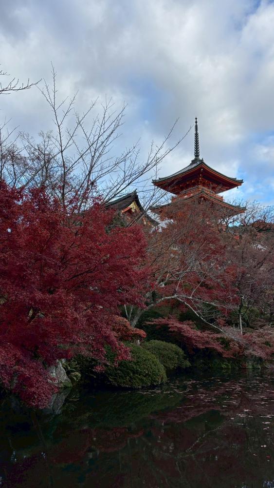 清水寺🍁