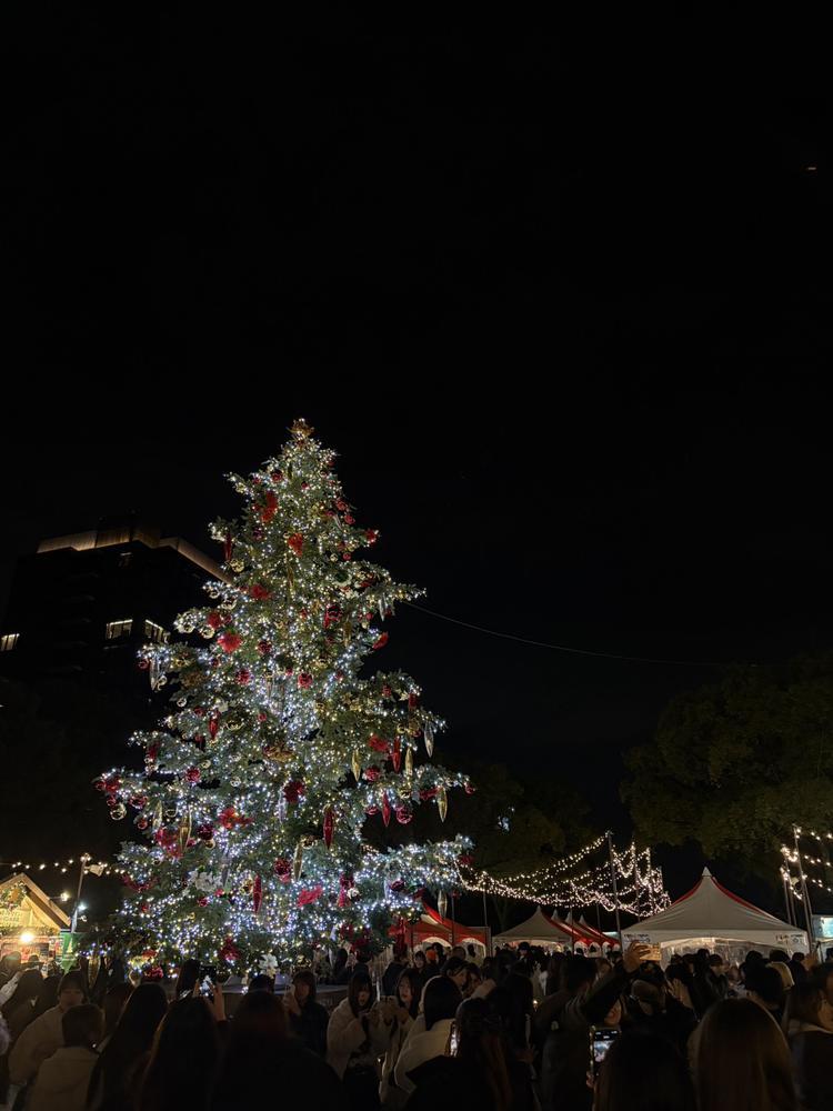 今日からサンタ💕