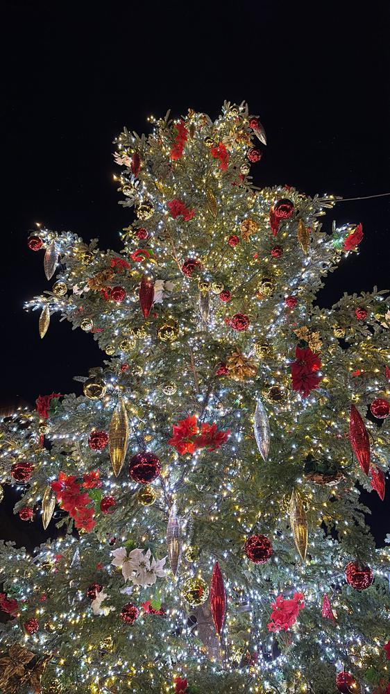 サンタ来るかなぁ🎄