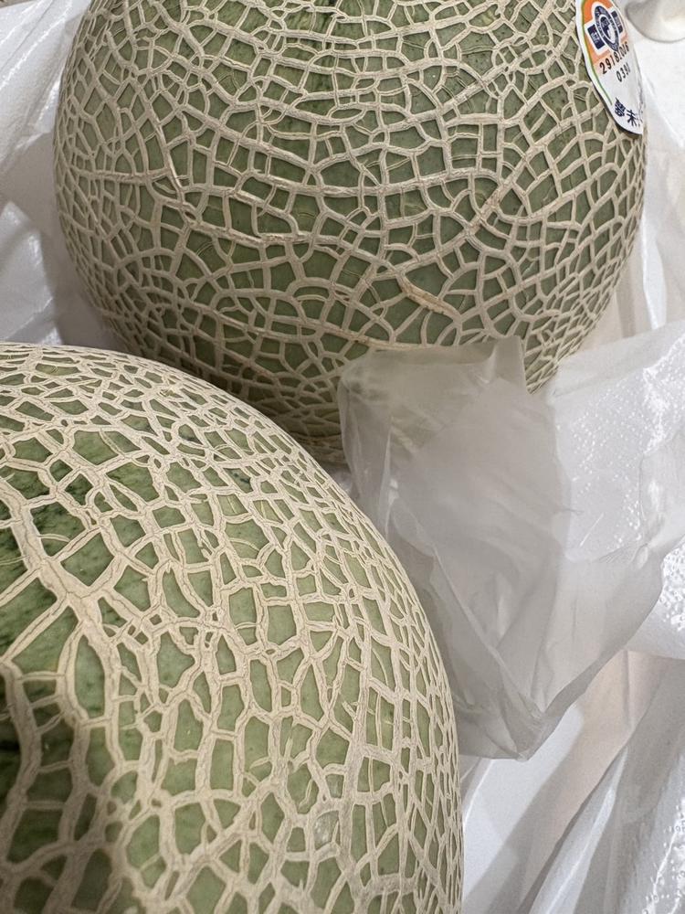 買ってしまった🤦