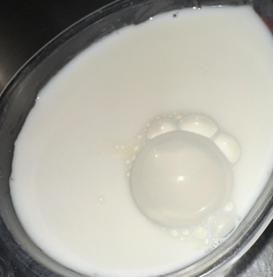 かわいい🐾🥛