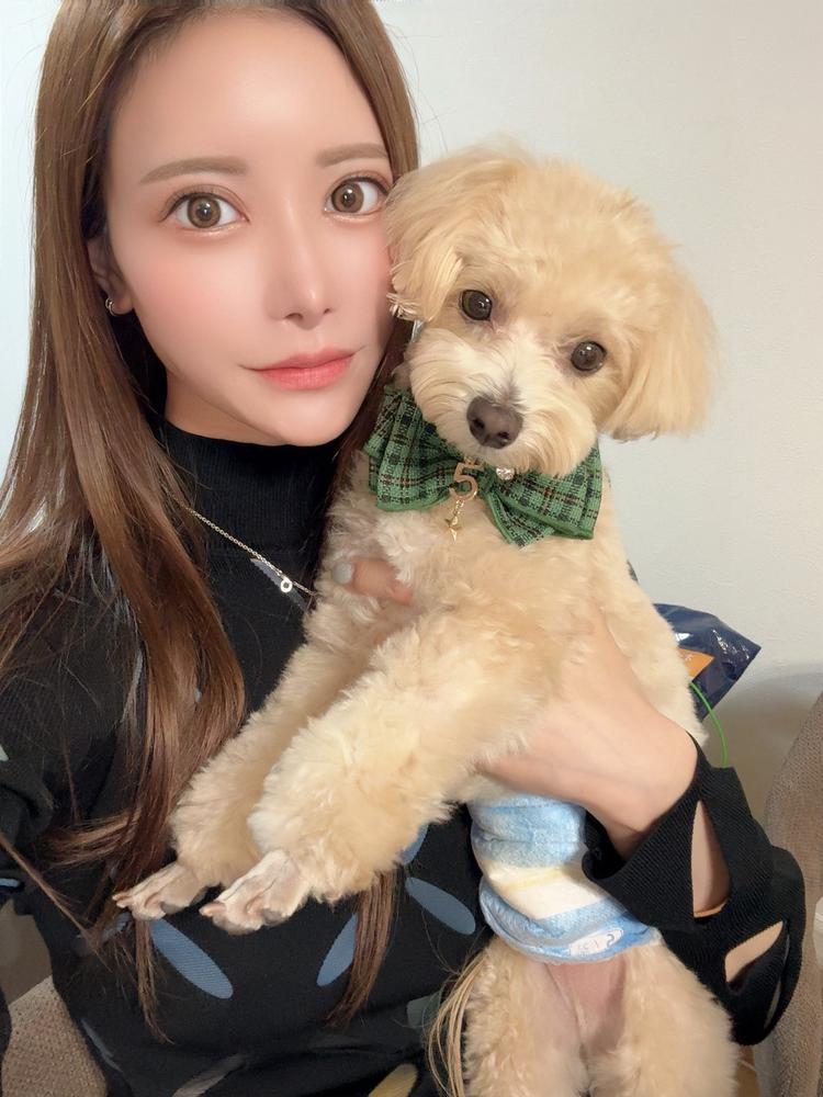 - ̗̀( ◍´꒳`◍) ̖́-