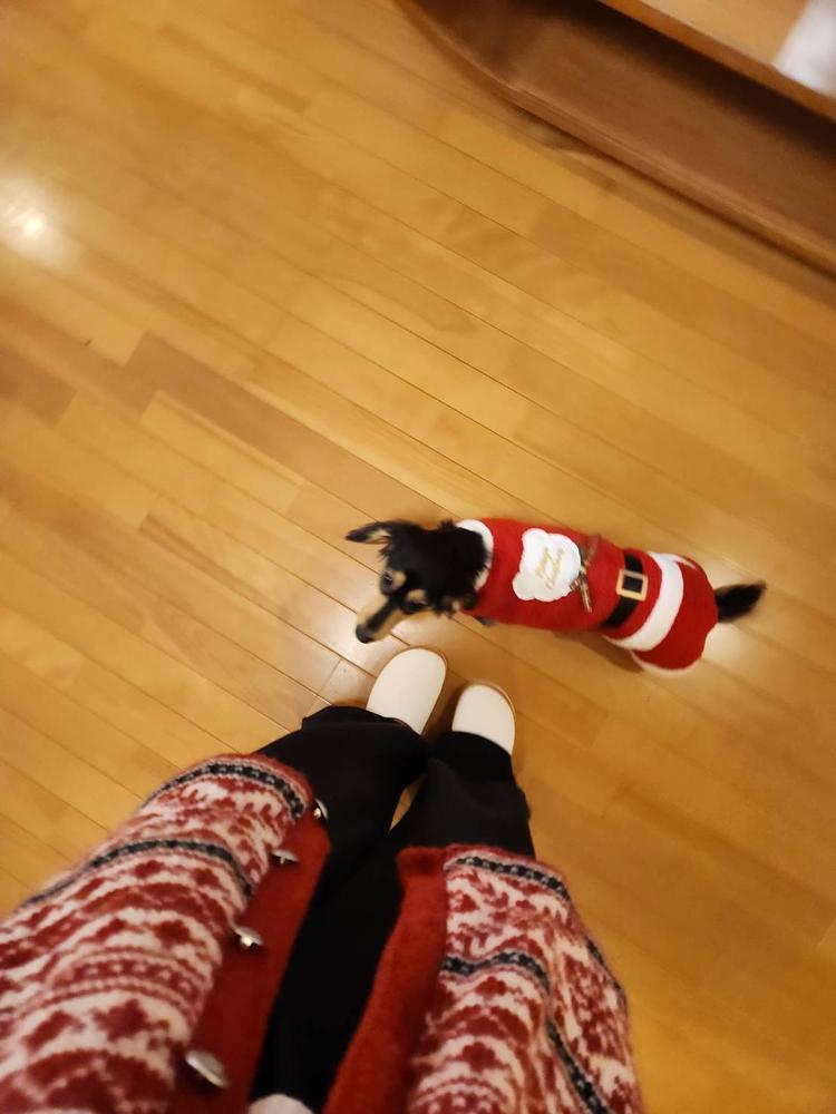 🔔クリスマスパーティ~🎄.🎁🎅