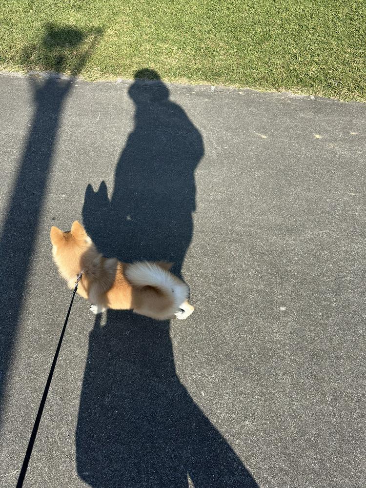 今日から12月🤭