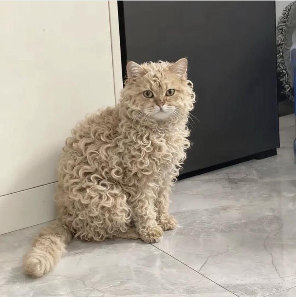 今週初出勤‼️