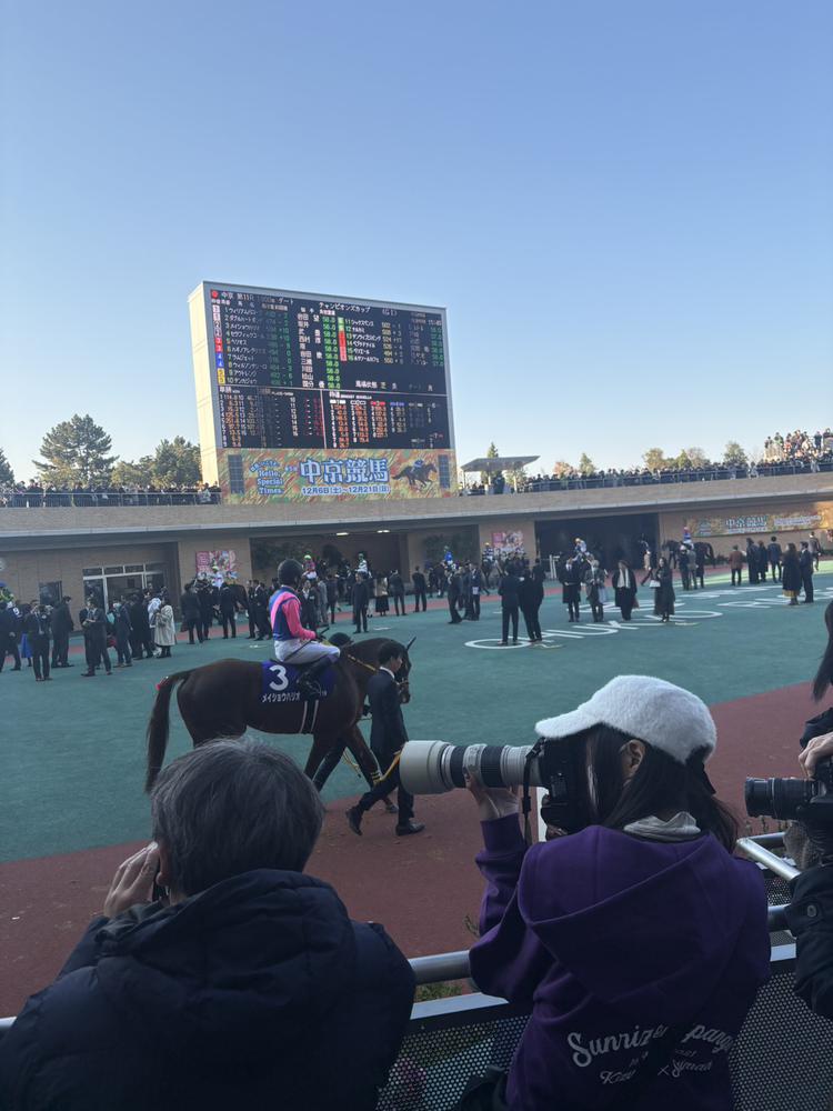 競馬場🐴