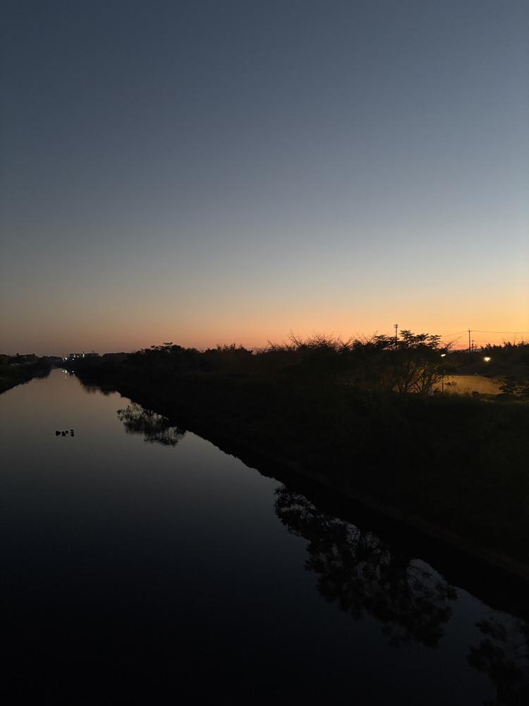 お疲れ様です🐰