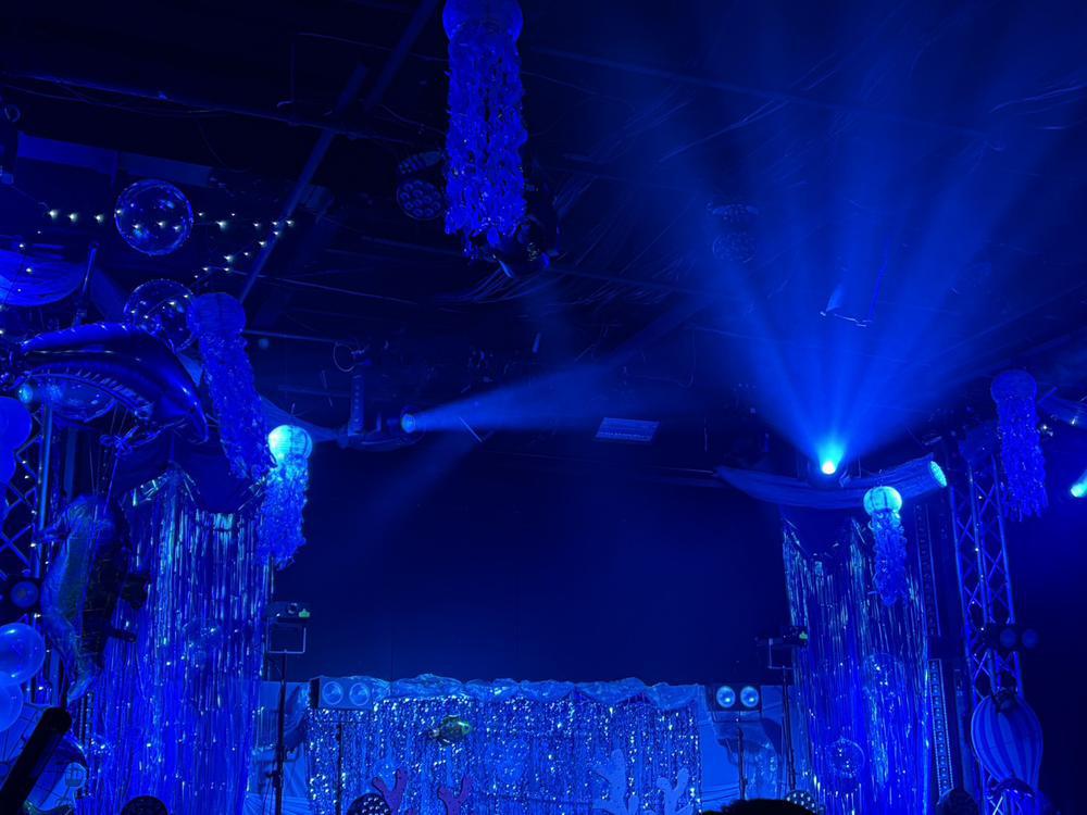 水族館みたい🐬