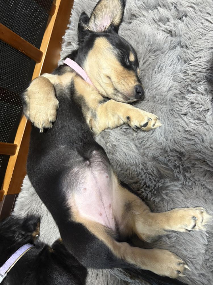 また明日*˙︶˙*)ﾉ