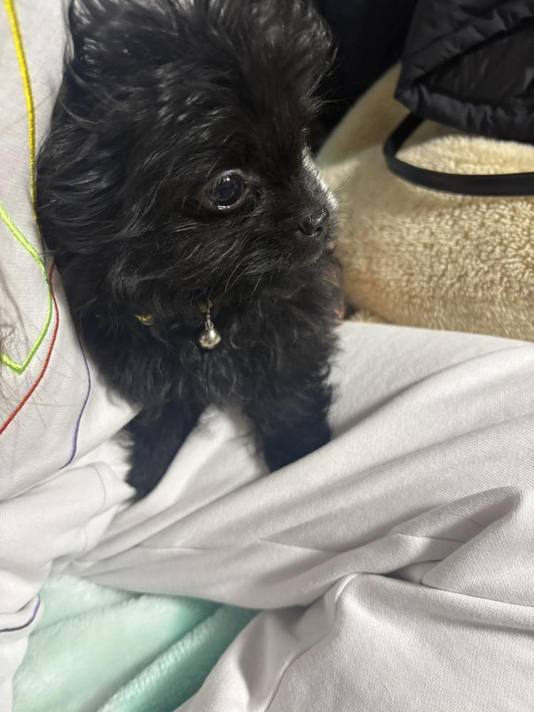 年内ラスト出勤‼️