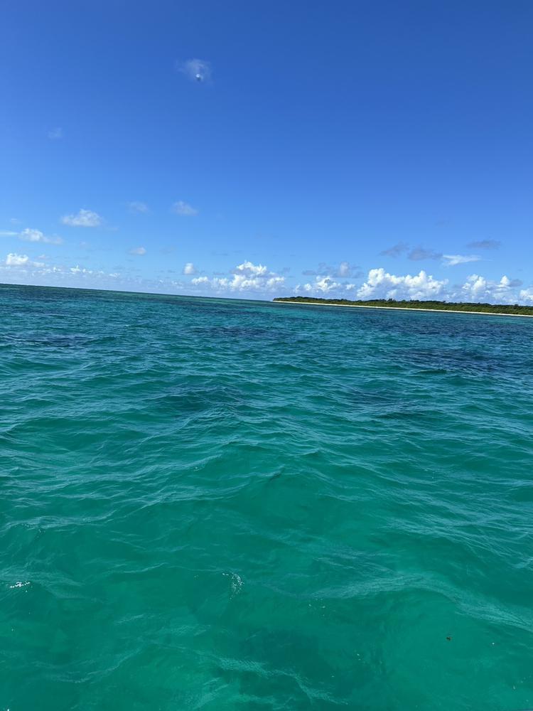 出勤しました⭐︎