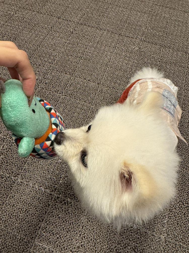 出勤(๑•̀ㅁ•́๑)✧︎