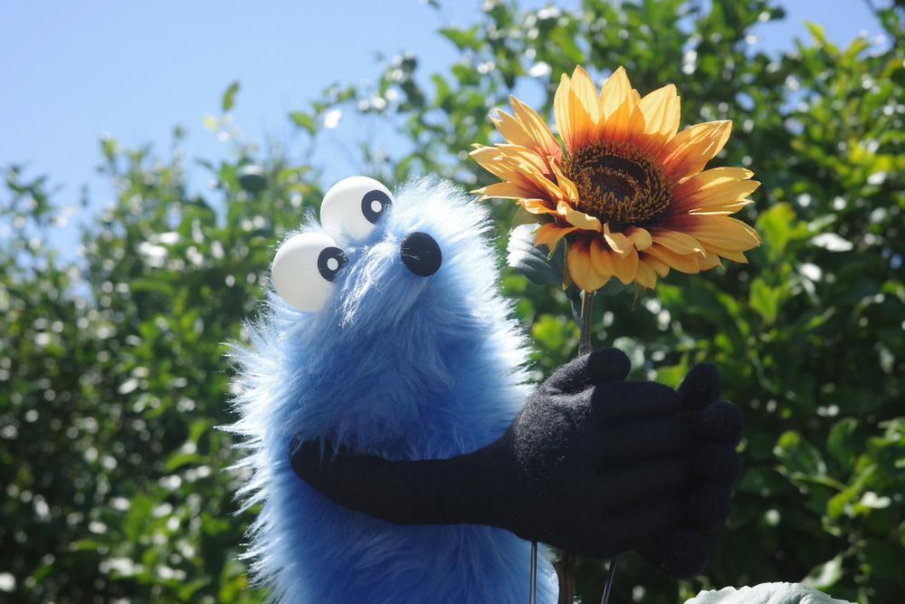 🐢おやすみです🍓