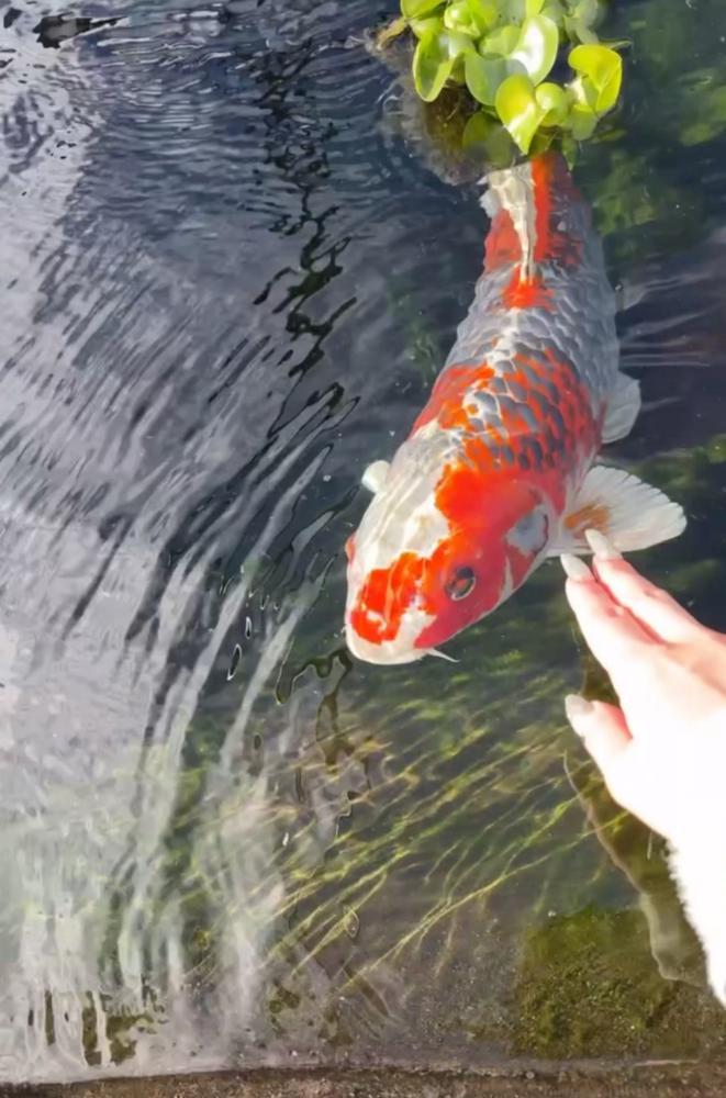 おはようございます(*^^*)   明日から二連休新年会してきます🫡    今日もお暇そうでぴえん🥺   誰かあああ酒えええ笑    昨日もんじゃメンタルすぎたのにけきょくもんじゃたべれずで萎え( ´･ω･`)   そろそろ食べ頃だな   ということで  21:30-出勤