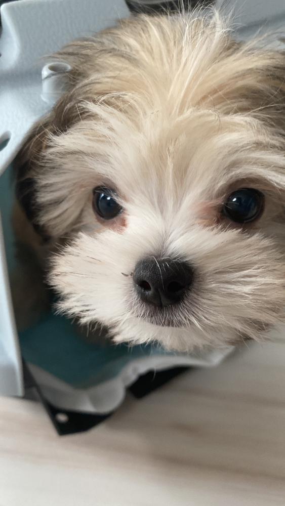 家族になって2年👶🏻💕