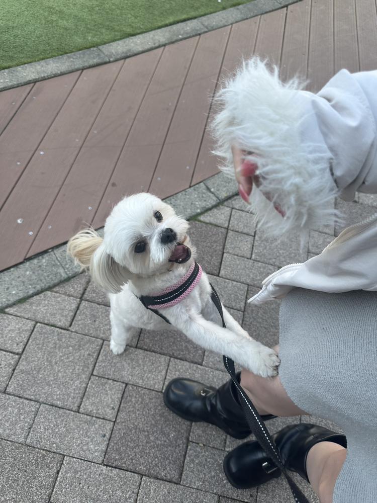 3連休だった😸✨