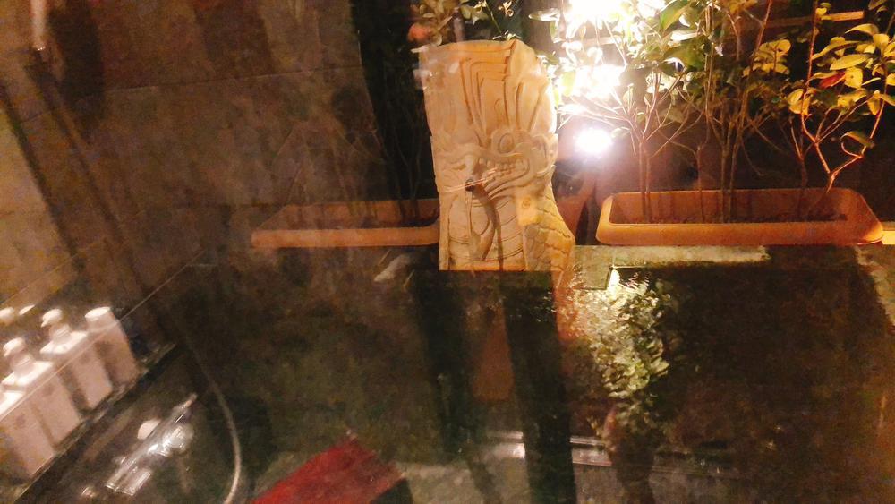 今日は雪が降るらしい☃️