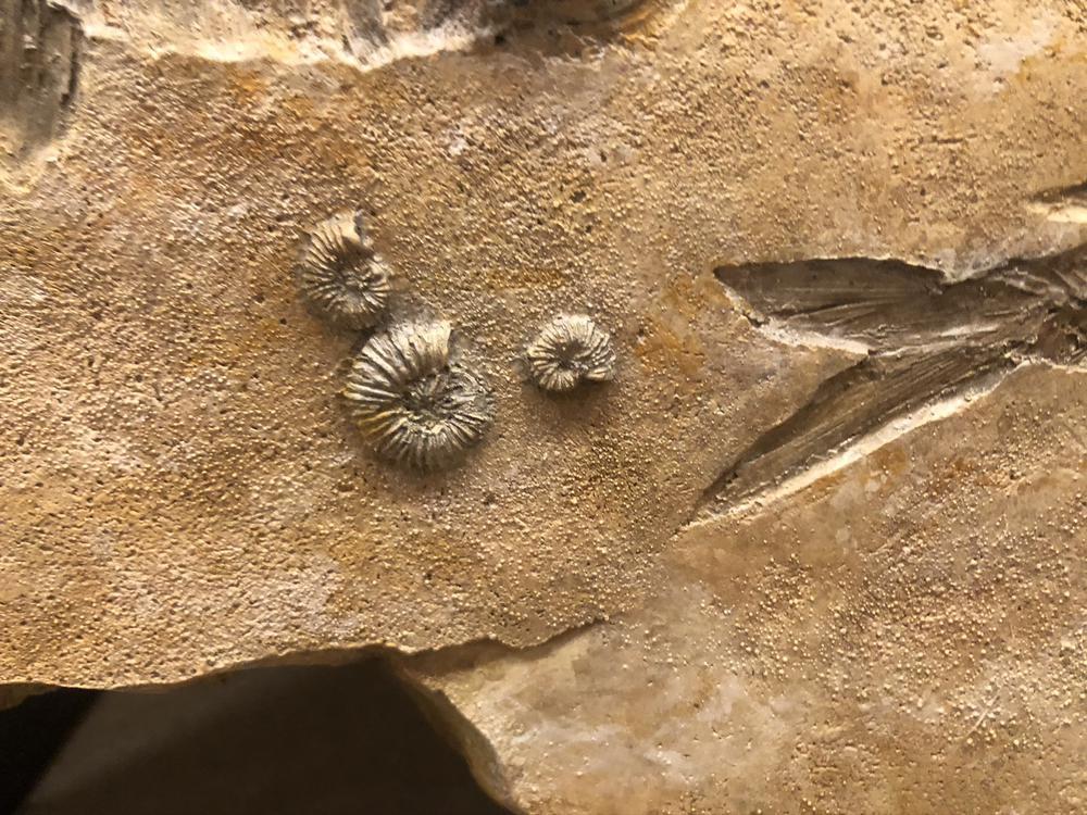 女子ってお金かかる💰