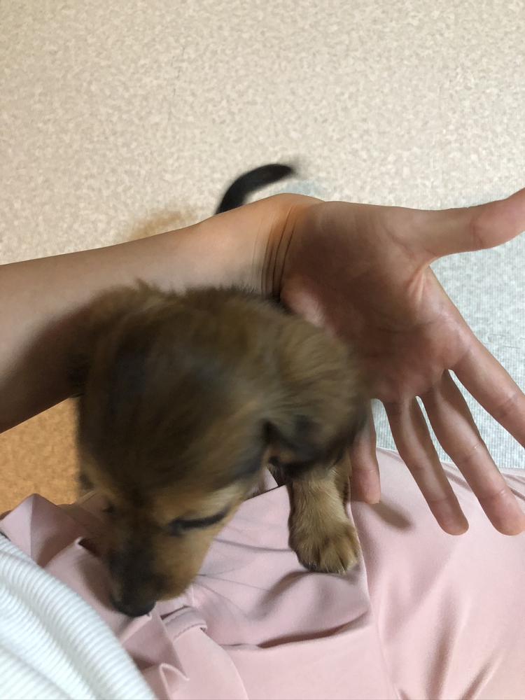 物騒だー！！😭😭