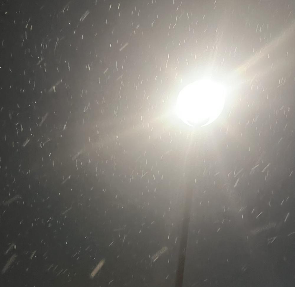 寒波寒すぎ⛄️