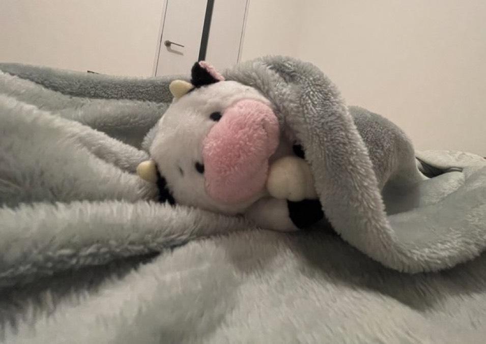 さむすんぎ❄️