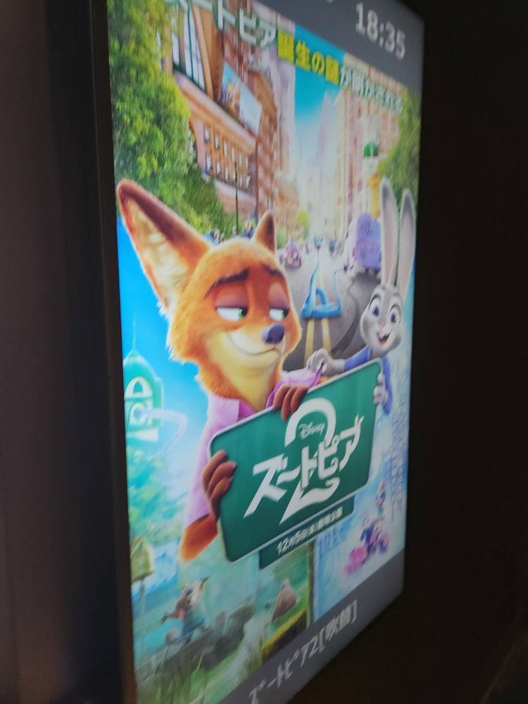 ズートピア見てくるよん︎🤍