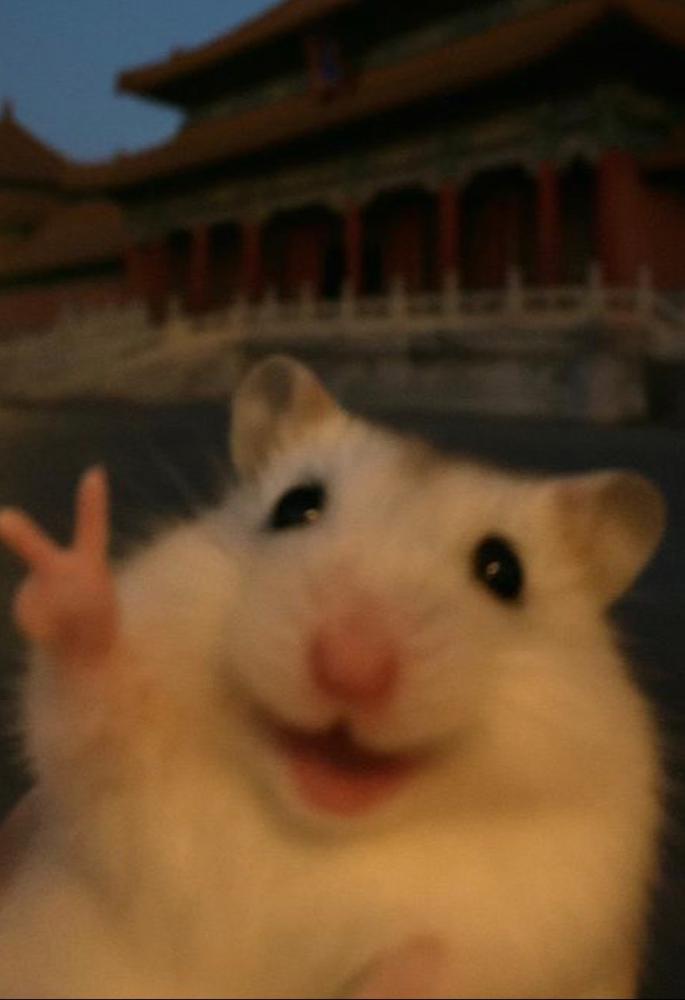 脱毛のカウセ行ってきたよ