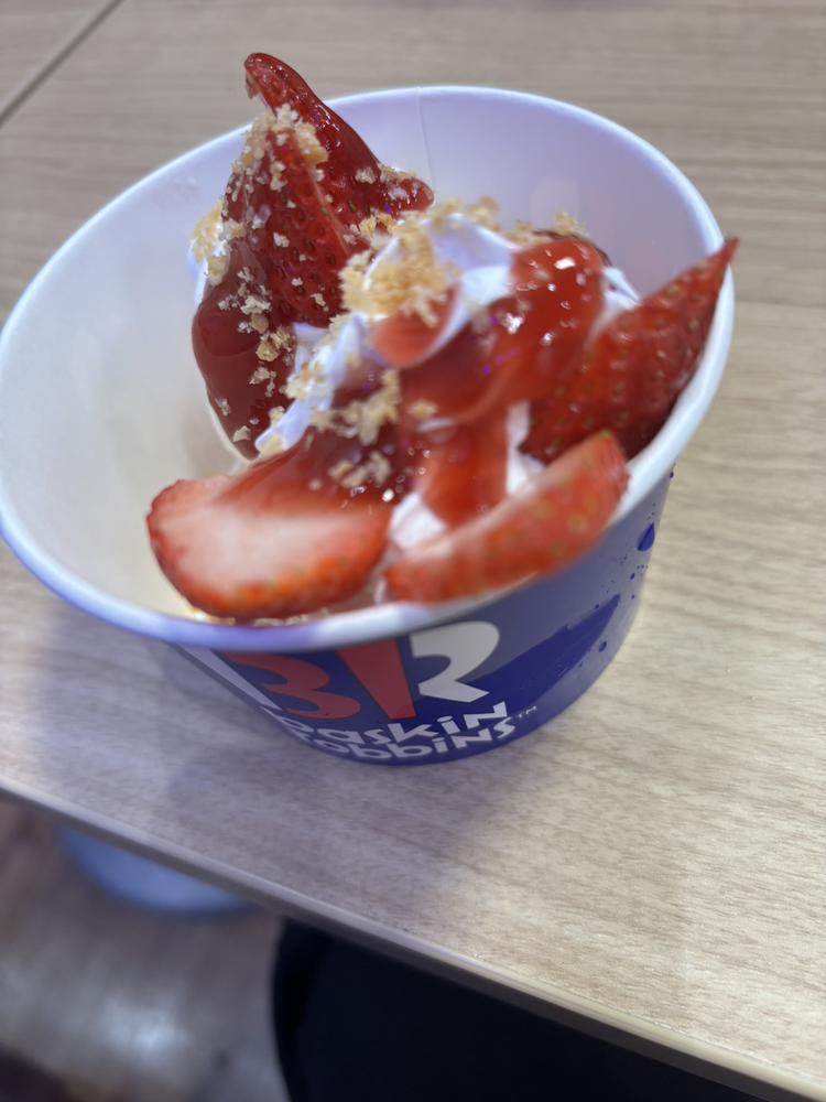 本日お休みでした