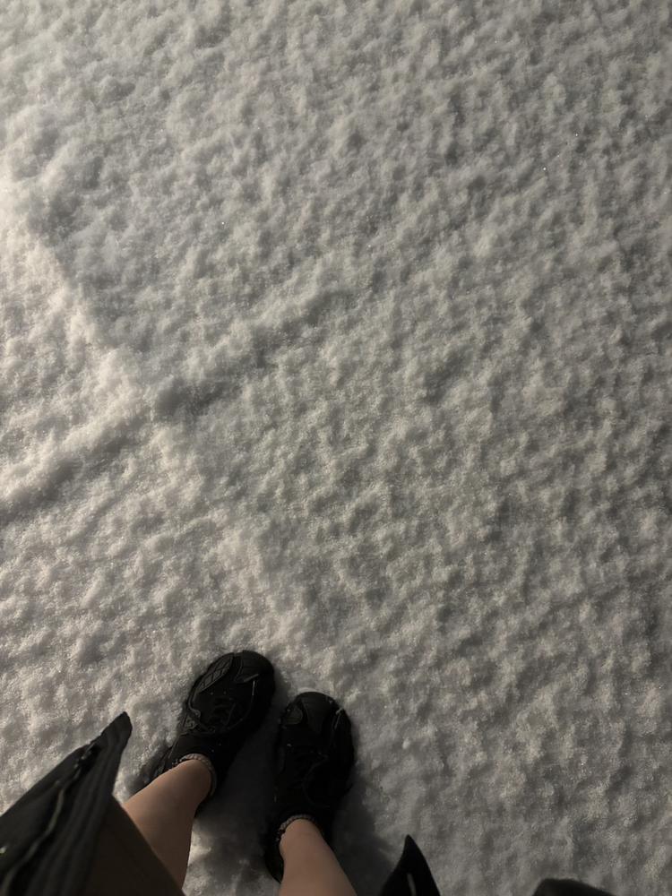 今日もいるよん