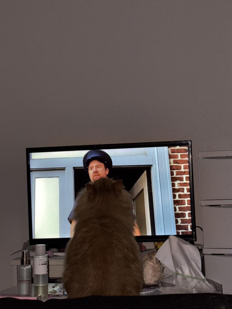 卵かけご飯食べたい🥚