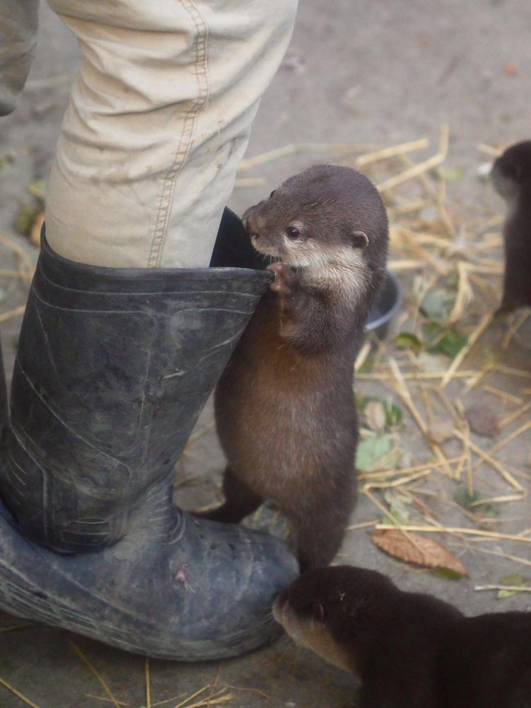 お買い物したい💗