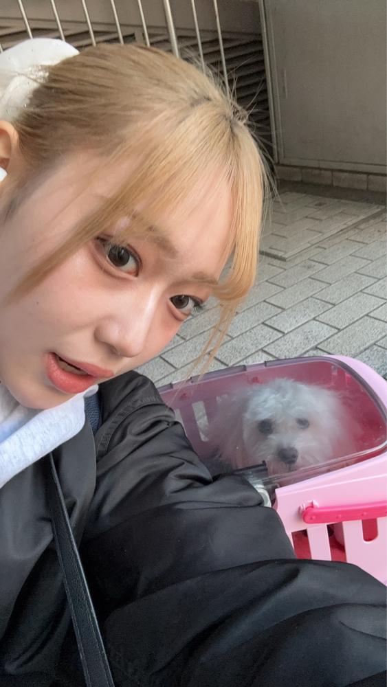 あけおめー！🎉