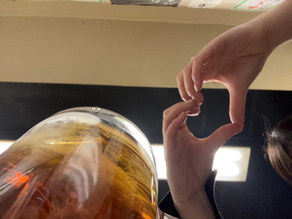 本日もいます♪