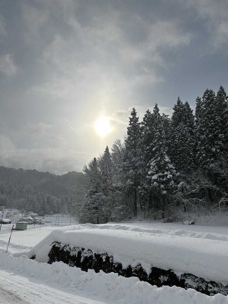 あけおめです🐴