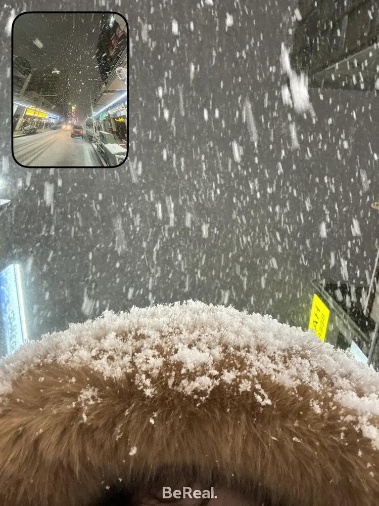 ⸜❄️⸝.｡.:･ﾟ♡