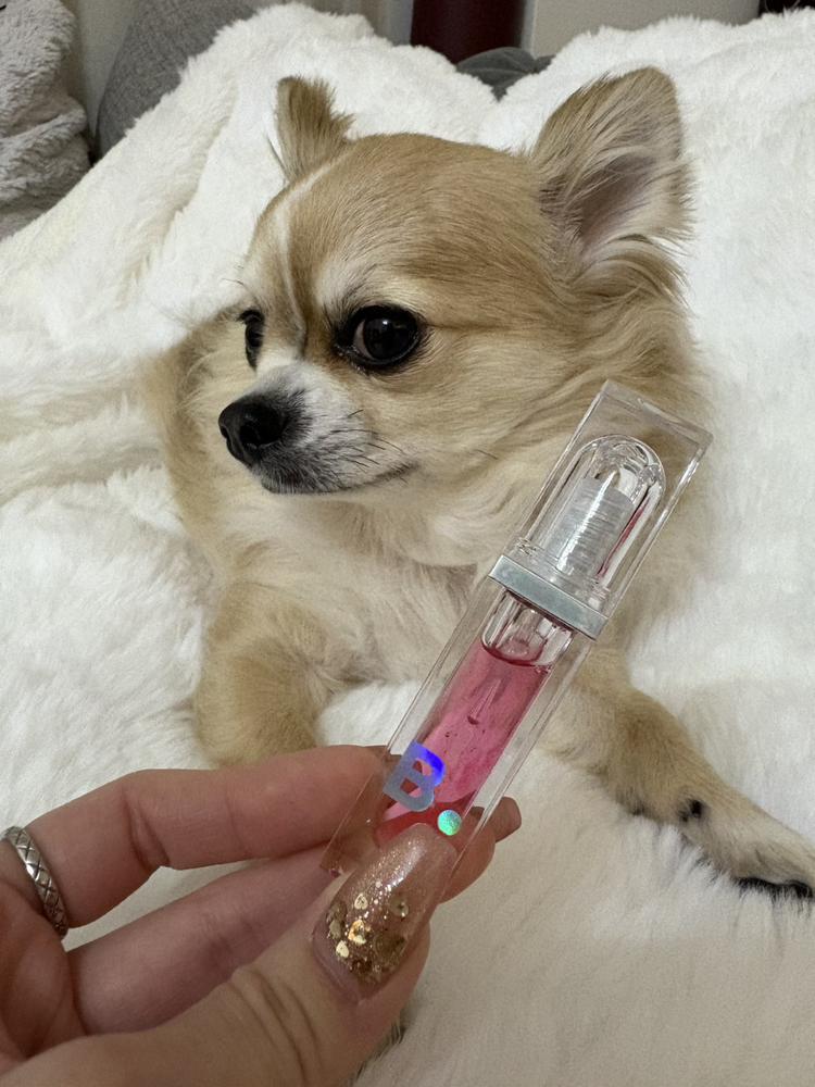 激痛プランパー