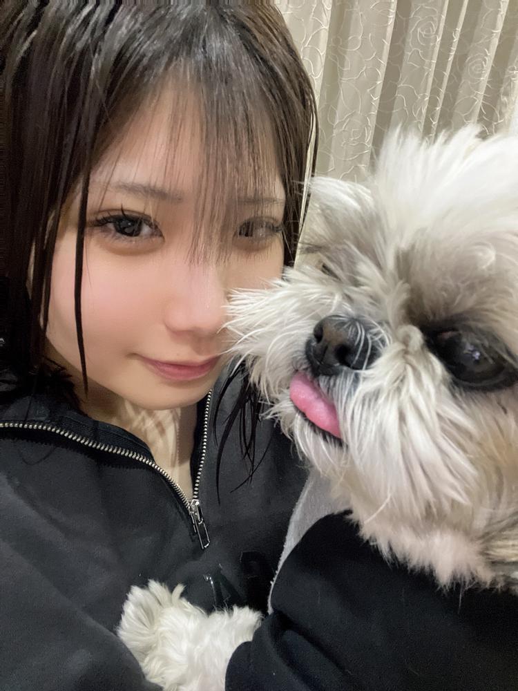 うちのわんこ🐶