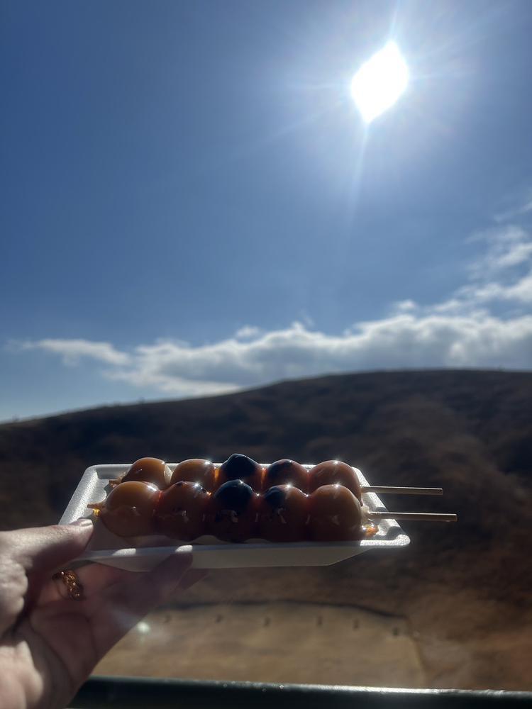 みたらし団子🍡