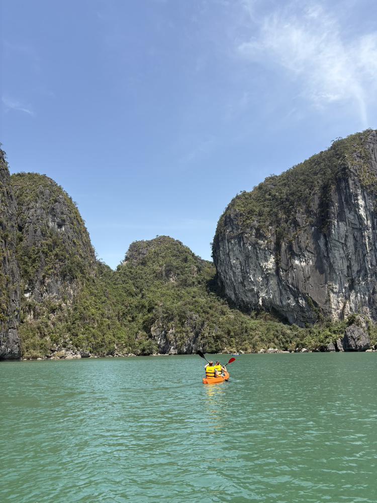 ヒキコモリタイ。笑