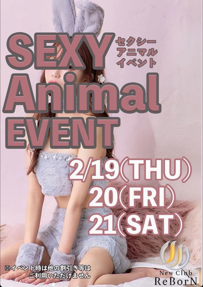 アニマルイベント！
