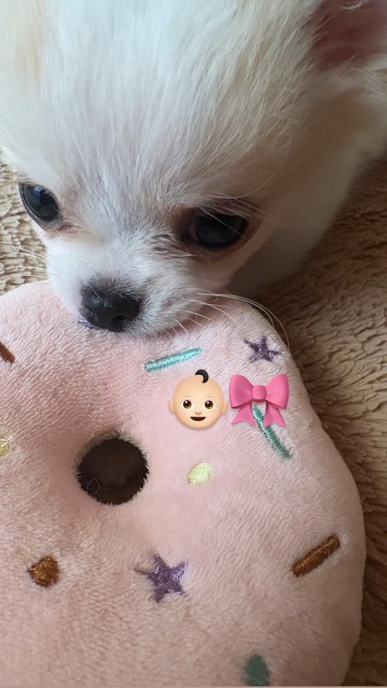 お疲れ様です🌚