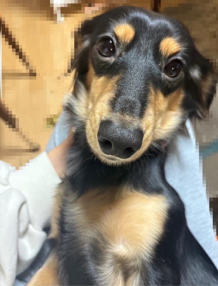 バレンタインイベント1日目🍫