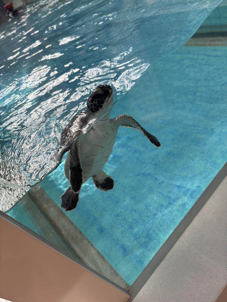 おはようございます☀️