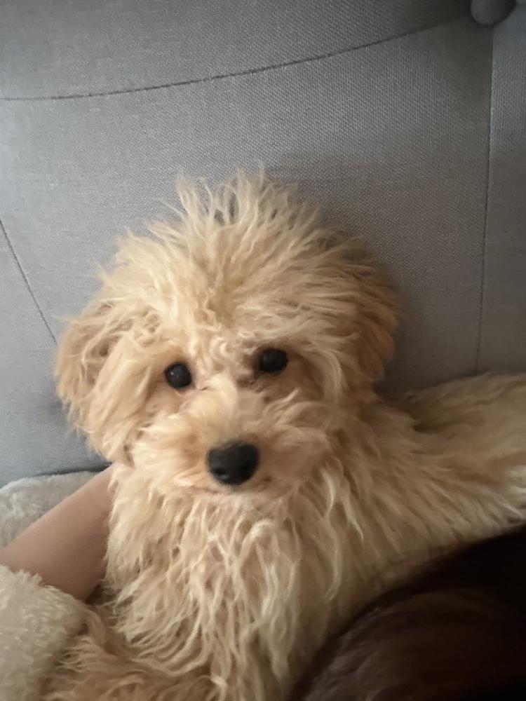 バレンタイン🍫