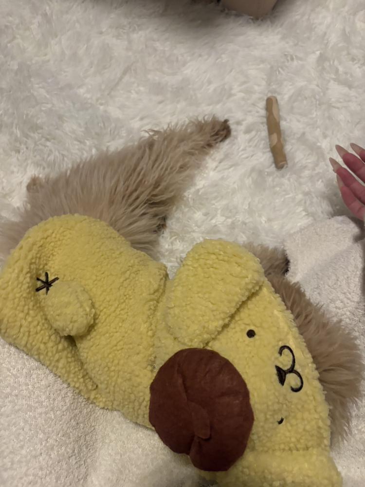 ボブ続行決定🌝