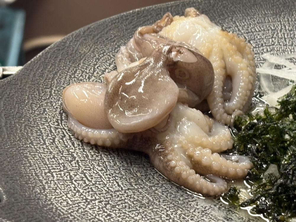 出勤しました！