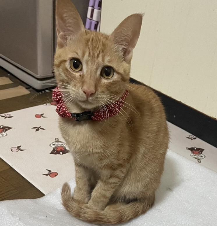 出勤しました！