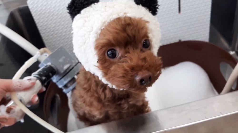 土曜日とてもありがたかったです！